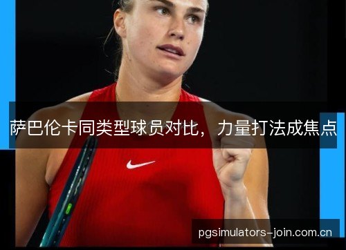 萨巴伦卡同类型球员对比,力量打法成焦点 萨巴伦卡同类型球员对比,力量打法成焦点