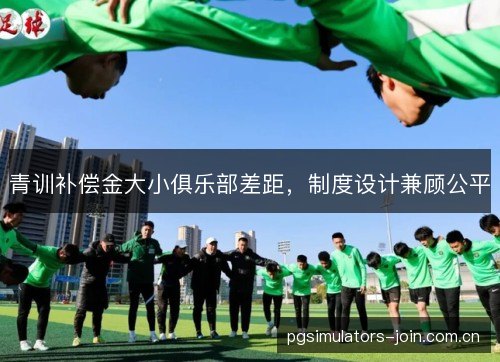 青训补偿金大小俱乐部差距，制度设计兼顾公平